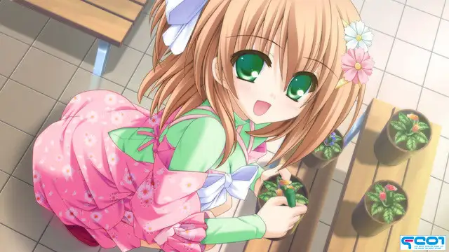 sub-image_0