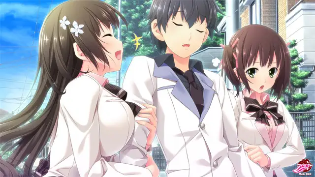 義妹だからできること、妹じゃないとダメなこと。