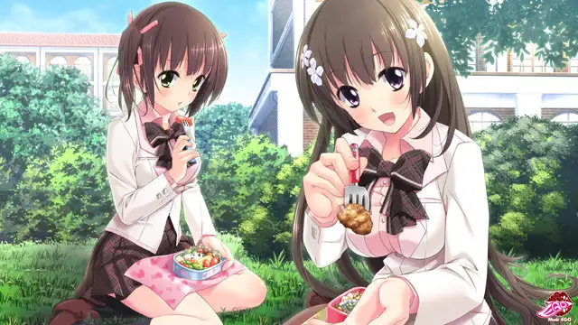 義妹だからできること、妹じゃないとダメなこと。