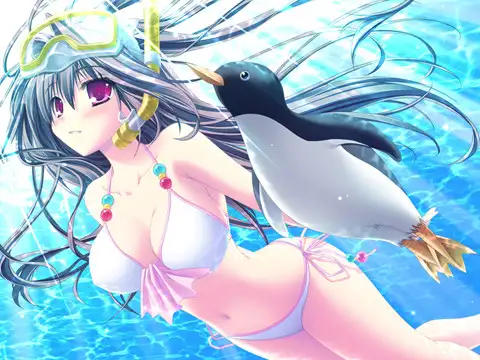 ナツユメナギサ