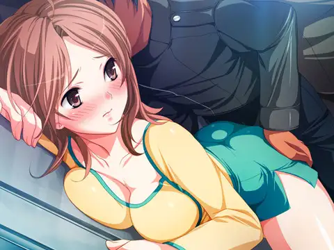 痴○専用車両 HDリマスター [Frill] | DLsite 美少女ゲーム - R18