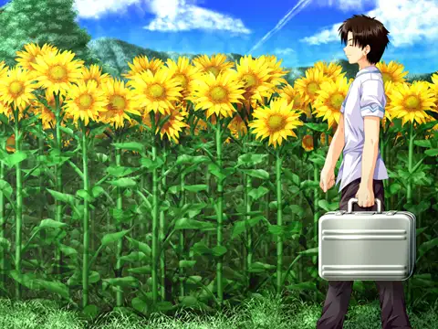 車輪の国、向日葵の少女
