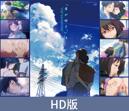 【HD版】君が好き。（喜欢你。）THE ANIMATION 第一卷 / 【簡体中文版】君が好き。THE ANIMATION 第1巻