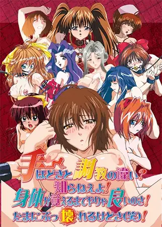 手ほどきと調教の違い？ 知らねえよ！ 身体が覚えるまでやりゃ良いのさ！ たまにぶっ壊れるけどさ（笑）！