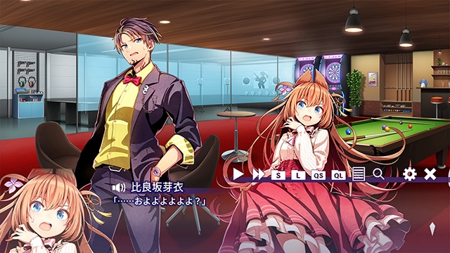 【多言語版】妄想推理アドベンチャー アルティメットジャンボジェット殺人事件 画像7