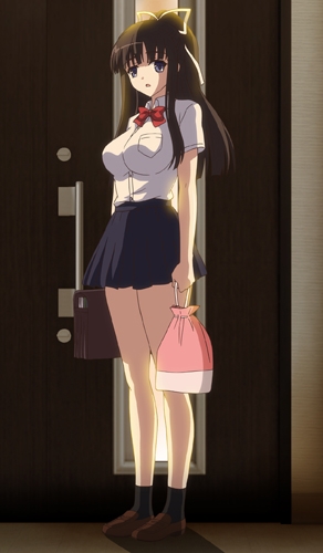 【HD版】自宅警備員 1stミッション イイナリ巨乳長女・さやか～編 画像1