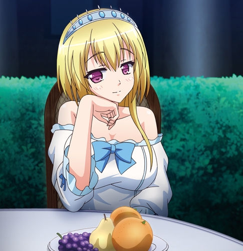 【HD版】転生剣奴の子作り闘技場（ハーレムコロッセオ） 「甲冑巨乳エルフ・デュランタ ～孕み孕まれ白濁流し～」img01