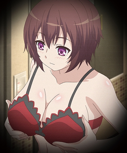 【HD版】自宅警備員2 第一話 巨乳エリート従兄妹・玲奈 ～奪われる純潔～ 画像3