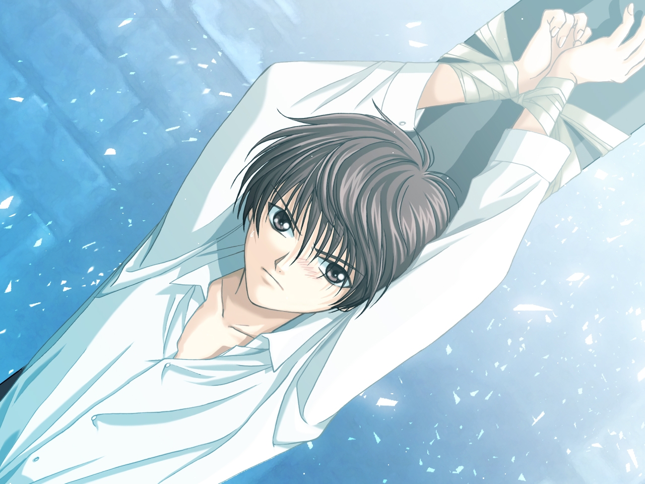 【限定版】セラフィム・スパイラル －少年の檻－リマスター：ボイスプラス