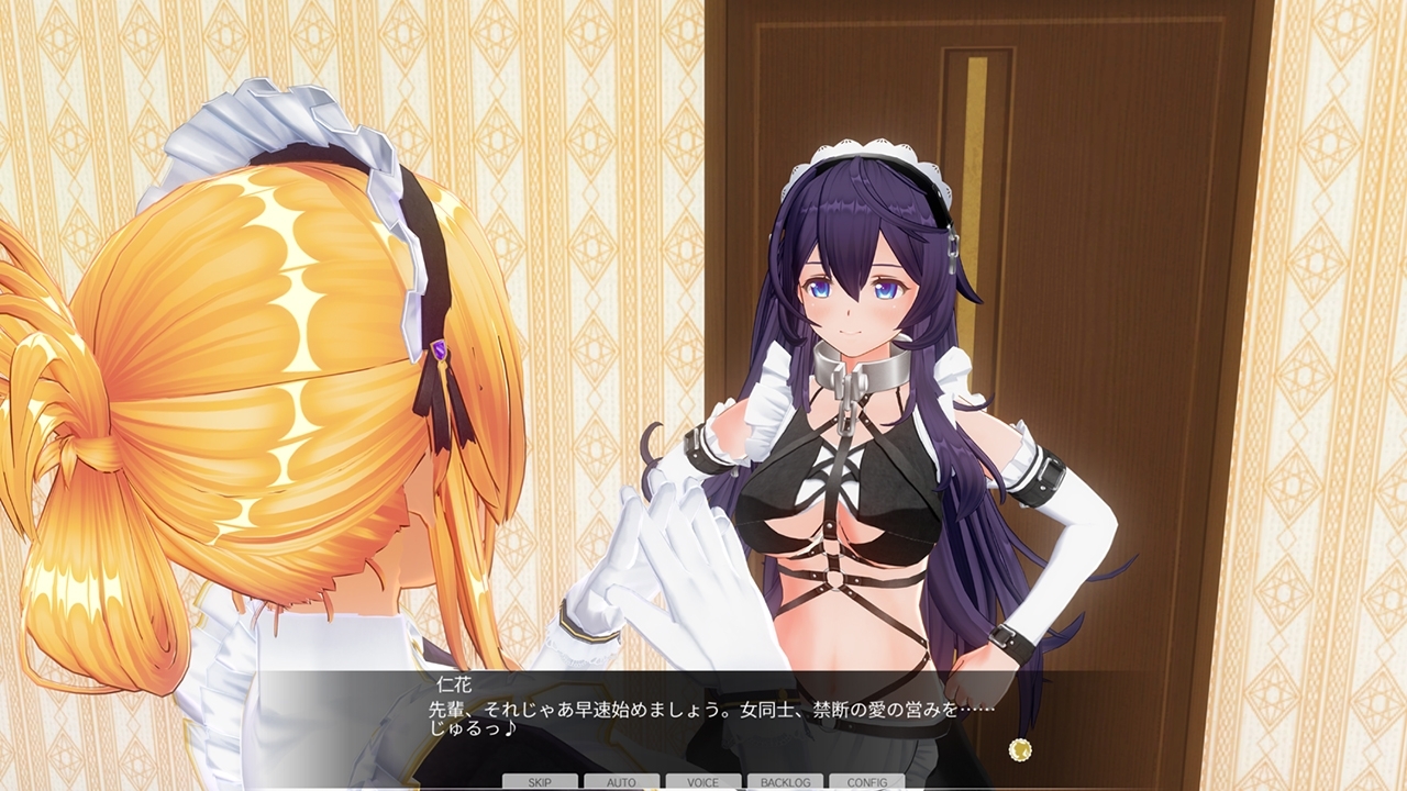 【期間限定】カスタムオーダーメイド3D2&2.5 EXキャラクター性格パック 画像10