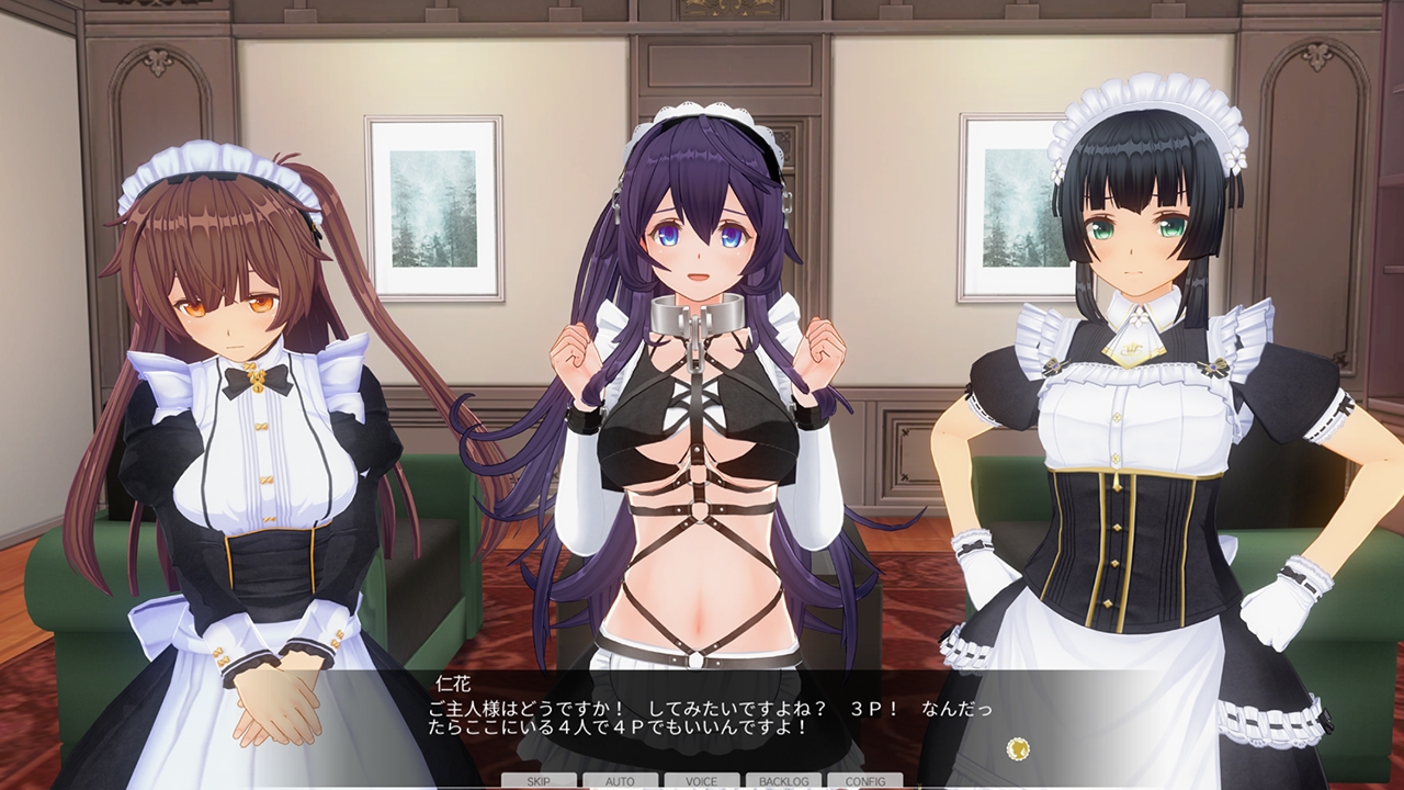 カスタムオーダーメイド3D2&2.5 キャラクターパックEX ド変態ドM 画像12