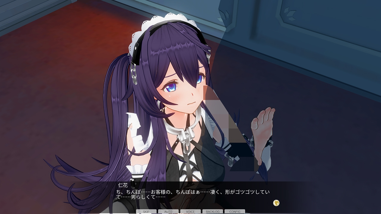 カスタムオーダーメイド3D2&2.5 キャラクターパックEX ド変態ドM 画像9