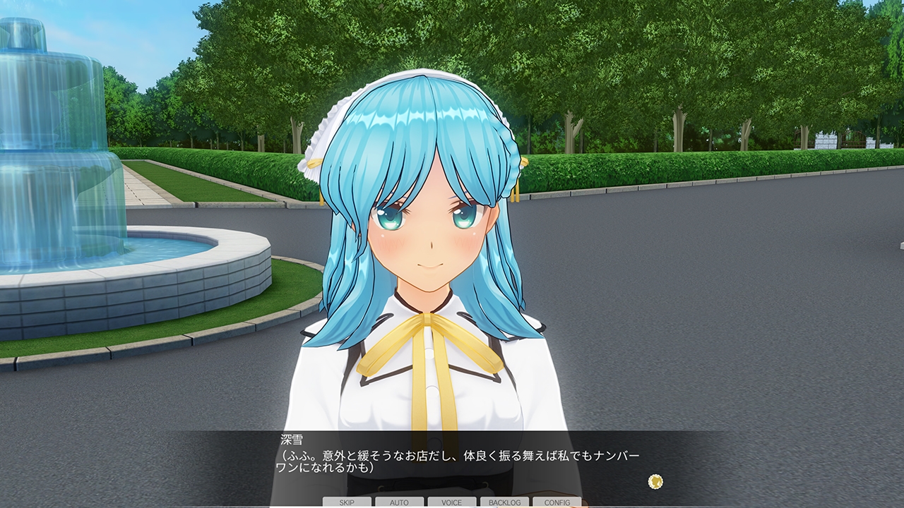 カスタムオーダーメイド3D2&2.5 キャラクターパックEX 腹黒 画像10