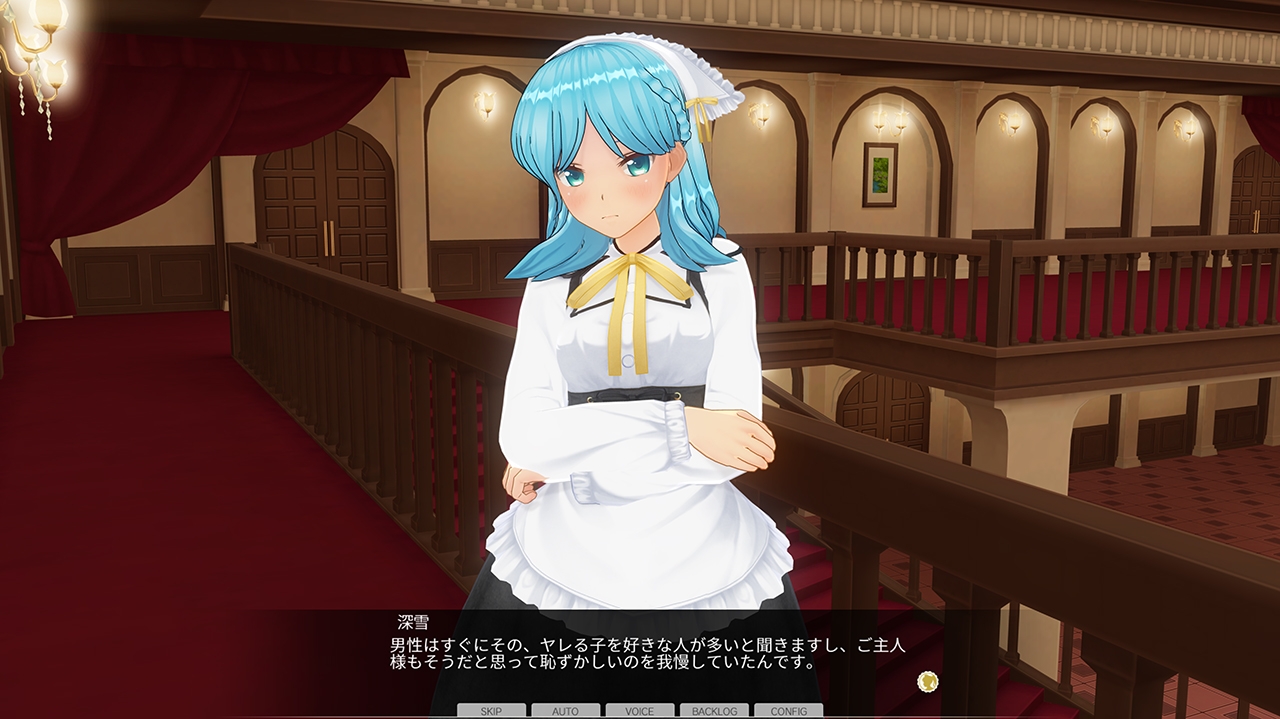 カスタムオーダーメイド3D2&2.5 キャラクターパックEX 腹黒 画像11