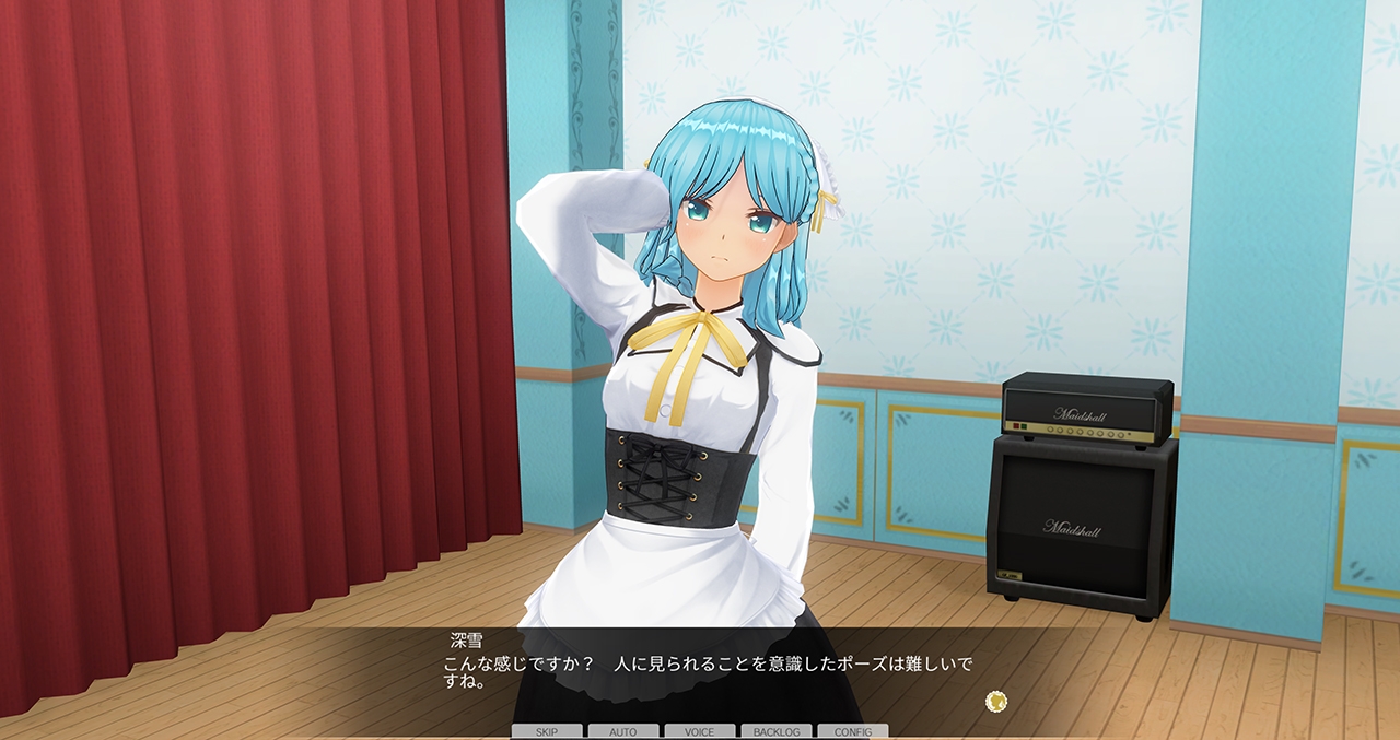 カスタムオーダーメイド3D2&2.5 キャラクターパックEX 腹黒 画像12