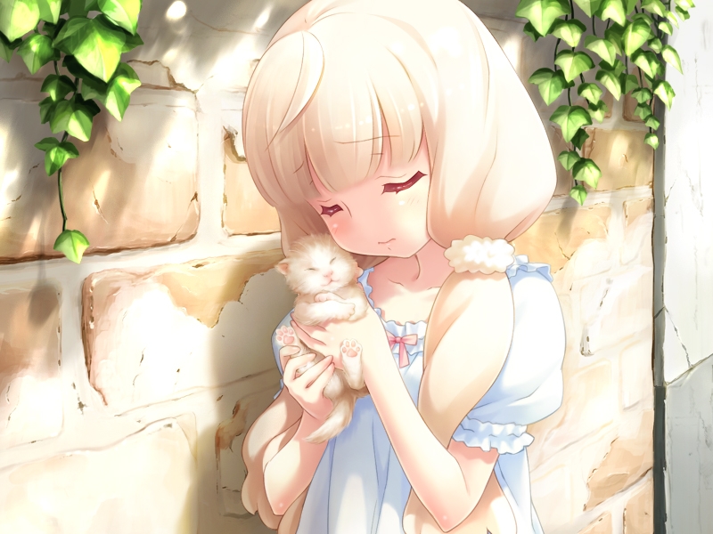 CAFE SOURIRE 画像6