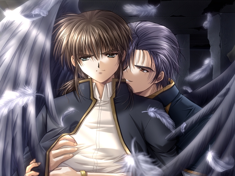 Angel's Feather
