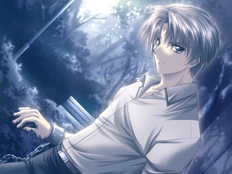 Angel's Feather