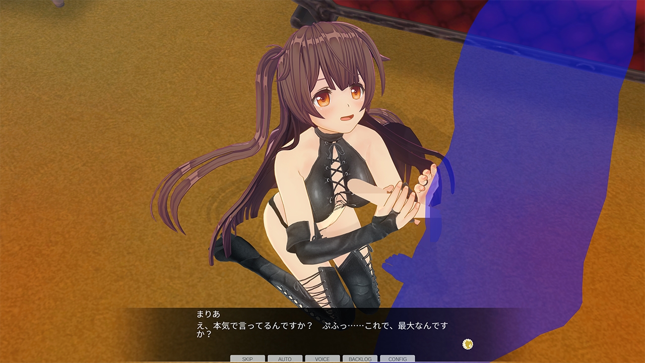 【期間限定】カスタムオーダーメイド3D2 アペンド9種類付パック 【期間限定】カスタムオーダーメイド3D2 アペンド9種類付パック