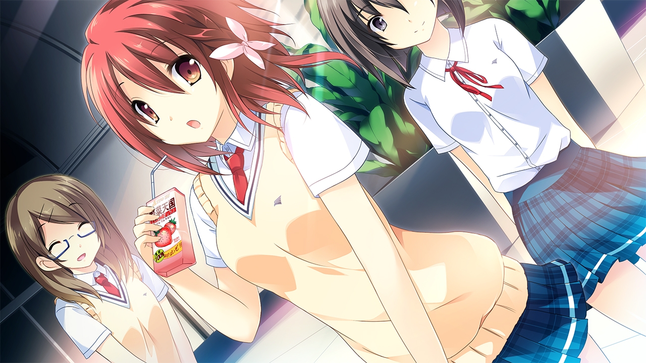 【期間限定】ウィルプラス入門5本セット 画像7