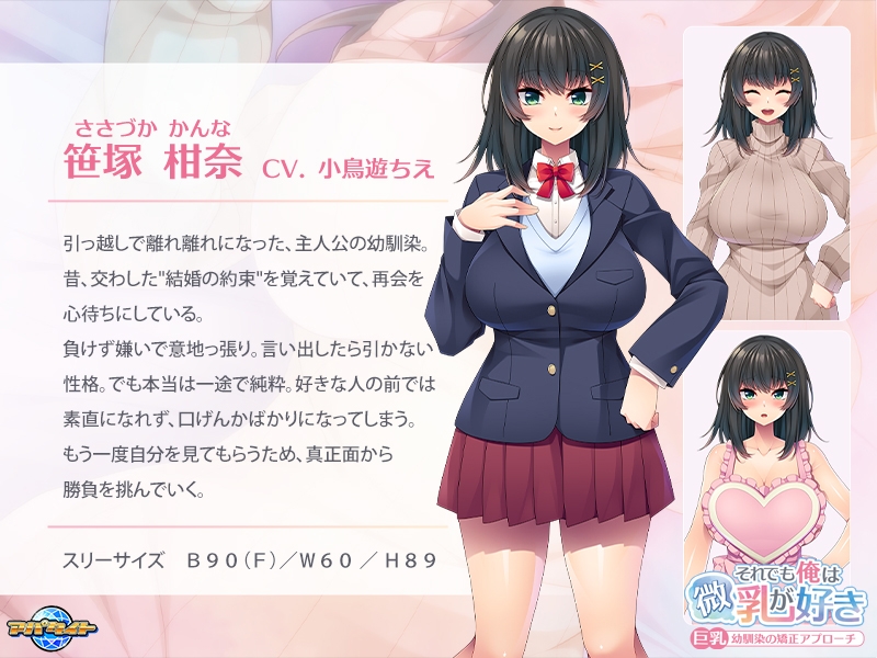 それでも俺は微乳が好き ～巨乳幼馴染の矯正アプローチ～ 画像2