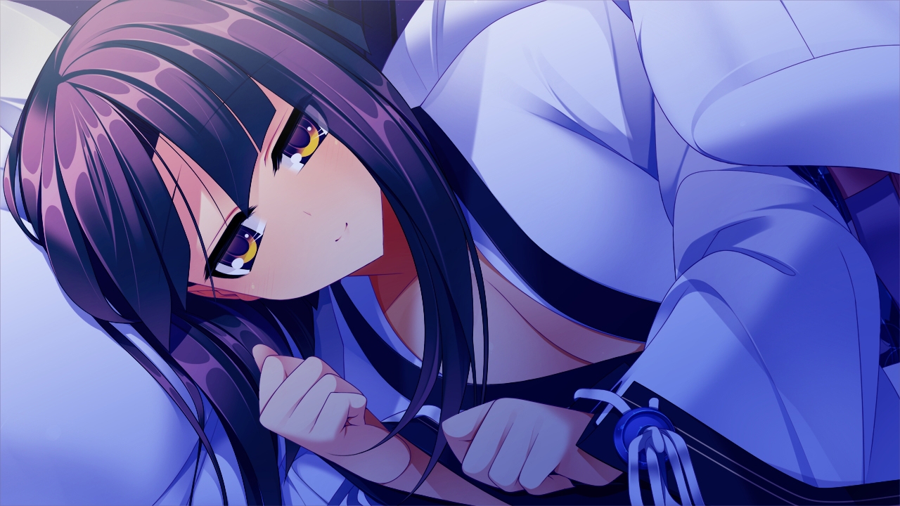 戦極姫3 ~天下を切り裂く光と影~ デラックス Win11対応版【本編+遊戯強化版】 画像5