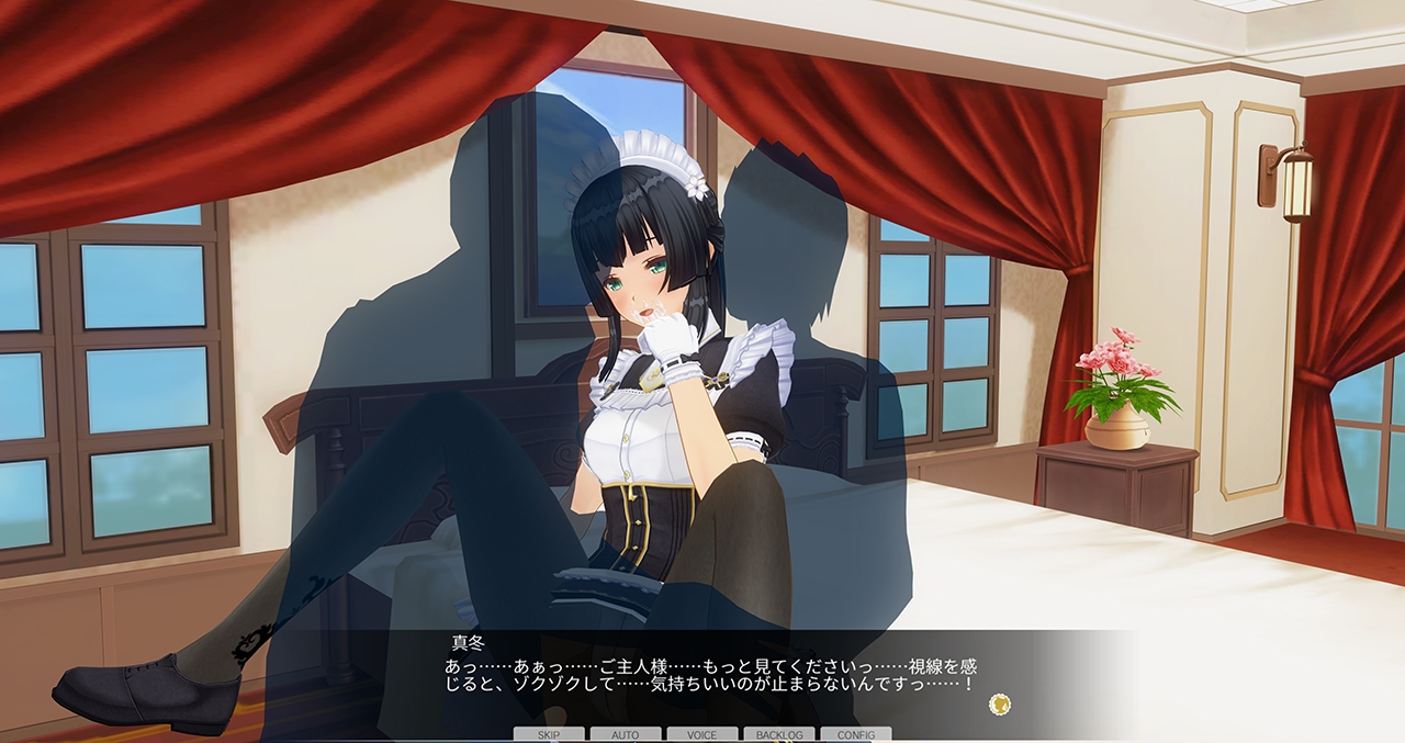 【期間限定】カスタムオーダーメイド3D2&2.5 DLC総選挙パック 夜伽クラス 画像9