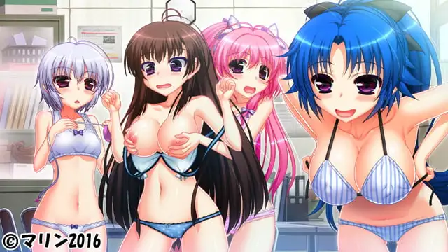 お嬢様学園こすぷれハーレム部