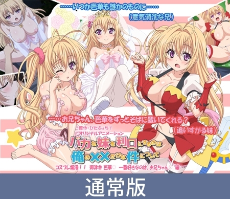 【通常版】バカな妹を利口にするのは俺の××だけな件について コスプレ爛漫!! 御津井芭華 一番好きなのは、お兄ちゃん編