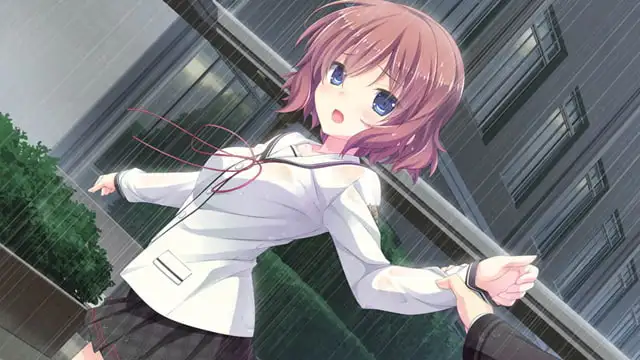 晴のちきっと菜の花びより