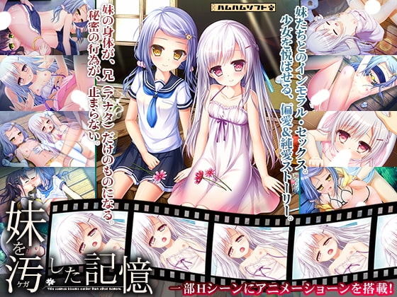 妹を汚した記憶
