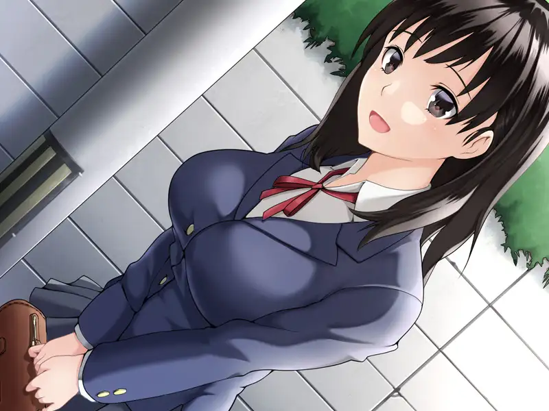 彼女がチャラ男に寝取られて堕ちるまで The Motion Anime