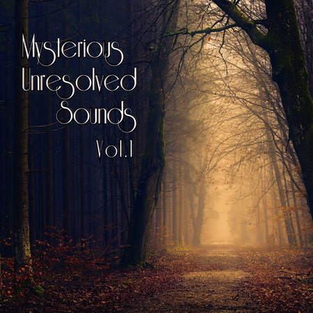 Mysterious Unresolved Sounds Vol.1