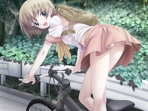 sub-image_4