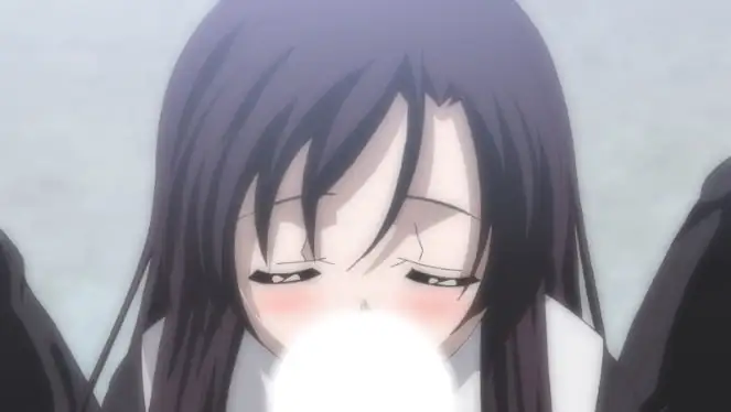 SCHOOL DAYS HQ 中文版