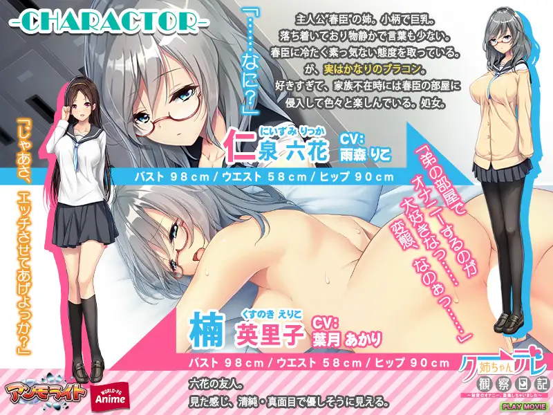 クーデレ姉ちゃん観察日記 ～秘密のオナニー、盗撮しちゃいました～ PLAY MOVIE