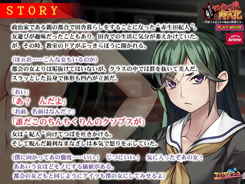 タイマン上等!?ヤンキー娘を肉穴化 ~不良でもあっちの具合は良好です~ PLAY MOVIE