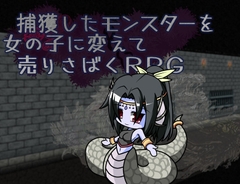 捕獲したモンスターを女の子に変えて売りさばくRPG [粗趣味]