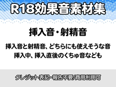 【R18効果音・クレジット表記不要】挿入音・射精音の効果音素材集 [りりすたじお]