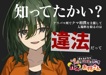 いろいろな法律を○すカスのお姉さん [かせいさんとこ]