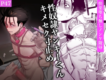 性奴○ヤンキーくんキメセク寸止め [二段階左折]