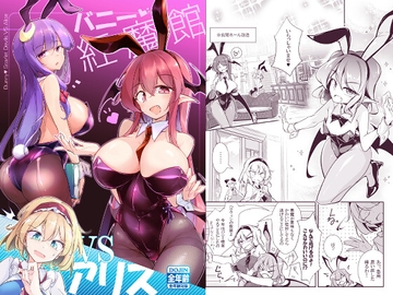 バニー紅魔館VSアリス [踏月]