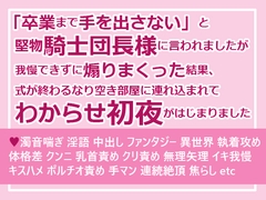「卒業まで手を出さない」と堅物騎士団長様に言われましたが我慢できずに煽りまくった結果、式が終わるなり空き部屋に連れ込まれてわからせ初夜がはじまりました [さみどり]