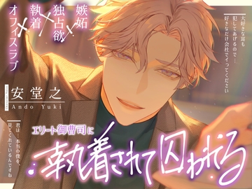 エリート御曹司に執着されて囚われる [諾森猫団]