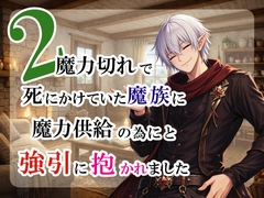 魔力切れで死にかけていた魔族に魔力供給の為と強引に抱かれました2 [宵凪]