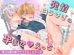 発情白うさぎの孕ませえっち「淫らな夢の国でアリスと」シリーズ【白うさぎ編】 [のあんBee]