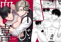 血と喜び・三 [SwitchOFF]