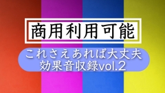 【どこでもOK!! 商用利用可能】欲しい時に手が届く効果音集を集めました Vol.2 [効果音  研究機関]