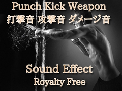 打撃音 攻撃音 ダメージ効果音 53 高音チャージからの必殺爆撃！ [Sanctuary]