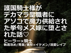 護国騎士様がデカマラ聖職者にアソコで魔力供給された挙句メス嫁に堕とされた話 [SirenHouse]